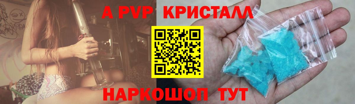 Alfa_PVP СК Гатчина