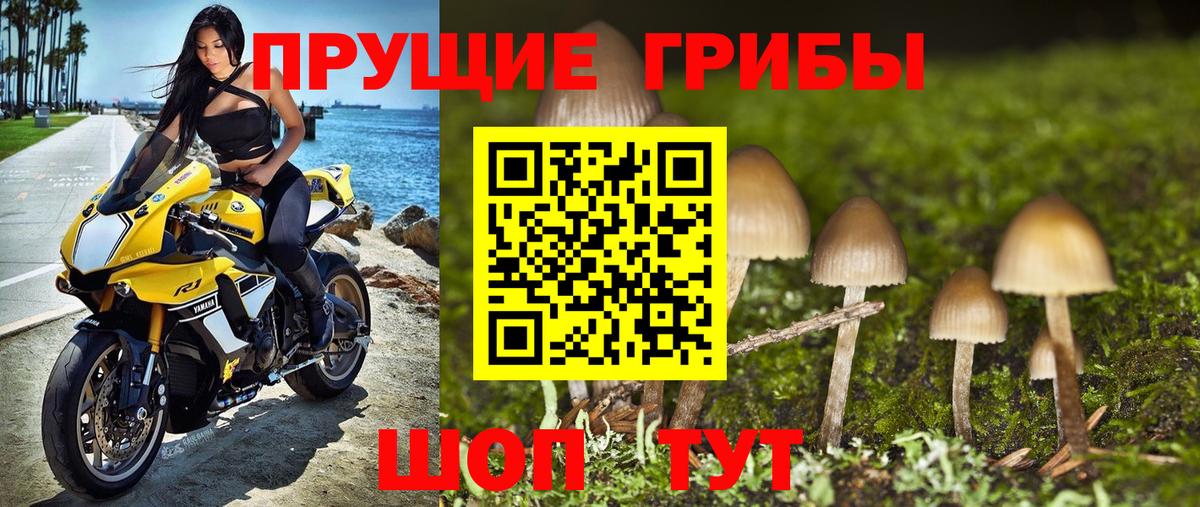 Гатчина  Галлюциногенные грибы мухоморы  Галлюциногенные грибы мицелий  Вход с VPN 