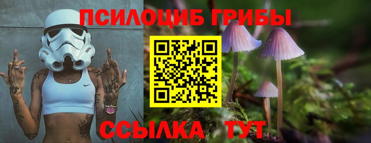 Галлюциногенные грибы мухоморы Гатчина